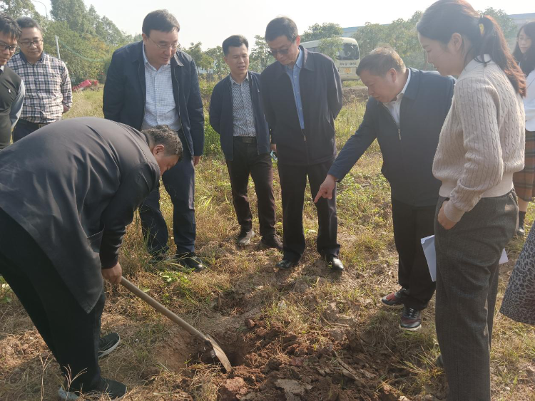 收工作效果调研组一行到广东开展调研AG旗舰厅农业农村部补充耕地质量验(图1)