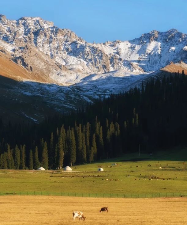 湖六日游跟团游 路线行程全解避坑不踩雷AG旗舰厅平台10月从成都去新疆赛里木(图3) 湖六日游跟团游 路线行程全解避坑不踩雷AG旗舰厅平台10月从成都去新疆赛里木(图3)